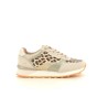 TEDDY SMITH 120 321 F Beige